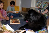 Enlarge photo 11