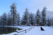 Enlarge photo 16