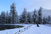 Enlarge photo 17