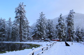 Enlarge photo 18