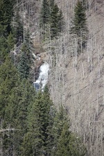 Enlarge photo 7