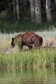 Enlarge photo 11