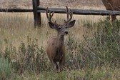 Enlarge photo 17