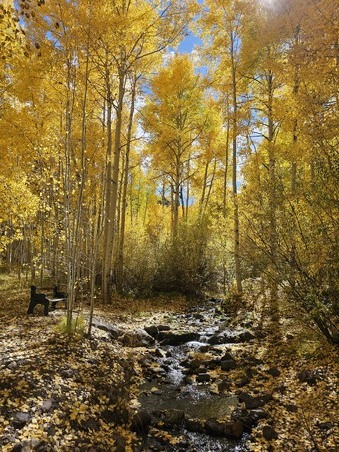 Bear Creek 2026 Calendar Photo Contest