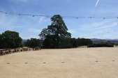 Enlarge photo 1