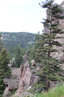 Enlarge photo 12