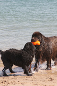 Enlarge photo 19