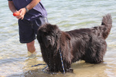 Enlarge photo 21