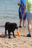 Enlarge photo 23