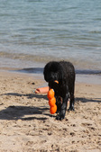 Enlarge photo 24