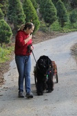 Enlarge photo 17