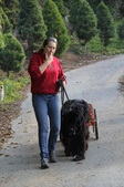 Enlarge photo 18