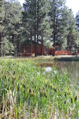 Enlarge photo 18