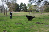Draft Training 1-22-12 El Dorado