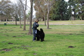 Enlarge photo 2