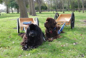 Enlarge photo 12
