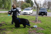 Enlarge photo 24