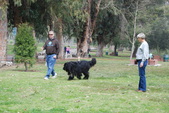 Draft Training 2-26-12 O'Melveny