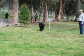 Enlarge photo 15