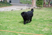 Enlarge photo 20