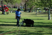 Draft Training 3-4-12 Carbon Canyon