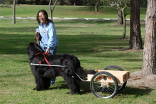Enlarge photo 9