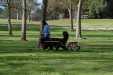 Enlarge photo 10