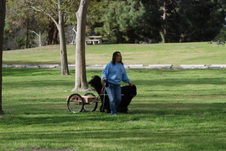 Enlarge photo 11