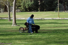 Enlarge photo 12