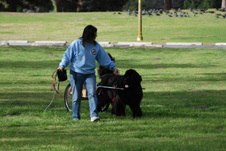 Enlarge photo 13