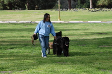 Enlarge photo 15