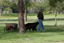 Enlarge photo 16