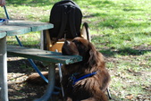 Enlarge photo 5