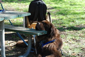 Enlarge photo 6