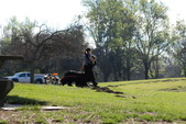 Enlarge photo 14