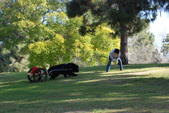Enlarge photo 16