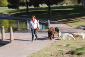 Enlarge photo 21