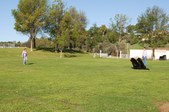 Draft Training @ Ernie Howlett Park