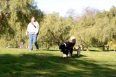 Enlarge photo 16