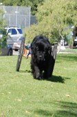 Enlarge photo 17