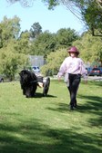 Enlarge photo 18