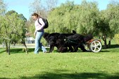Enlarge photo 23