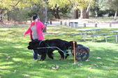 Enlarge photo 23