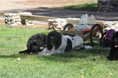 Enlarge photo 8