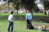 Enlarge photo 5