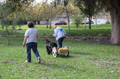 Enlarge photo 7