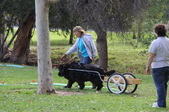 Enlarge photo 11