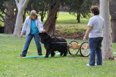 Enlarge photo 12