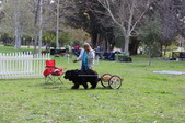 Enlarge photo 13