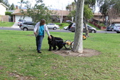 Enlarge photo 23